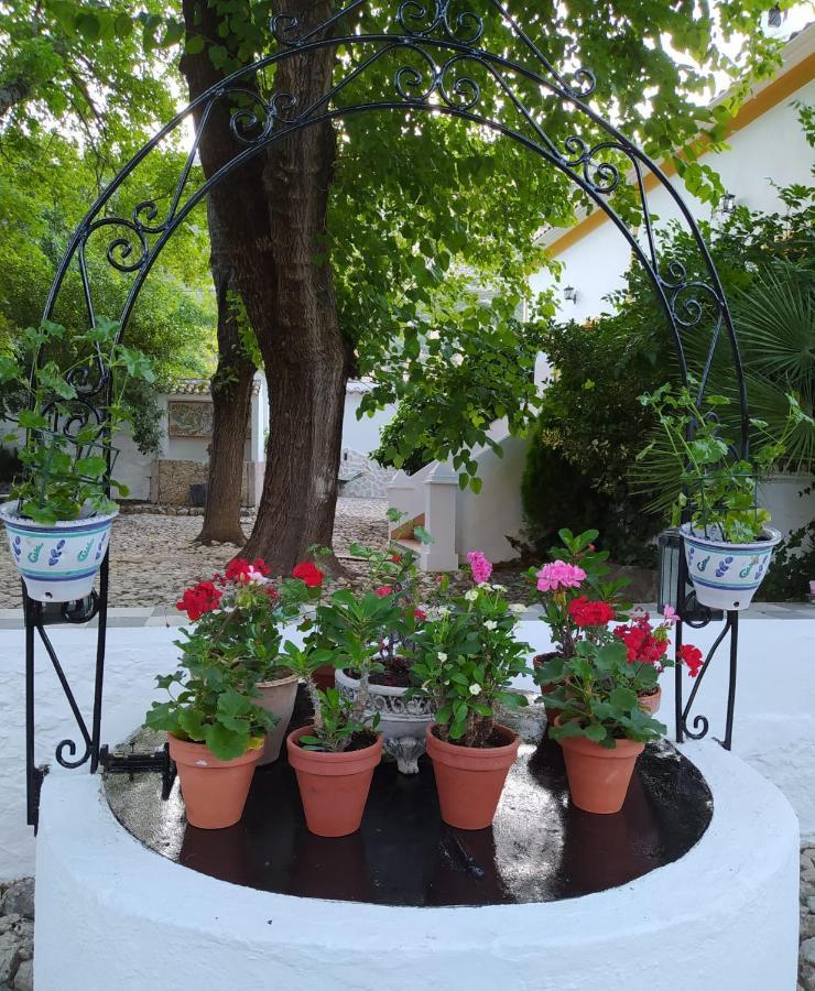 Cortijo Abril Βίλα Priego de Córdoba Εξωτερικό φωτογραφία