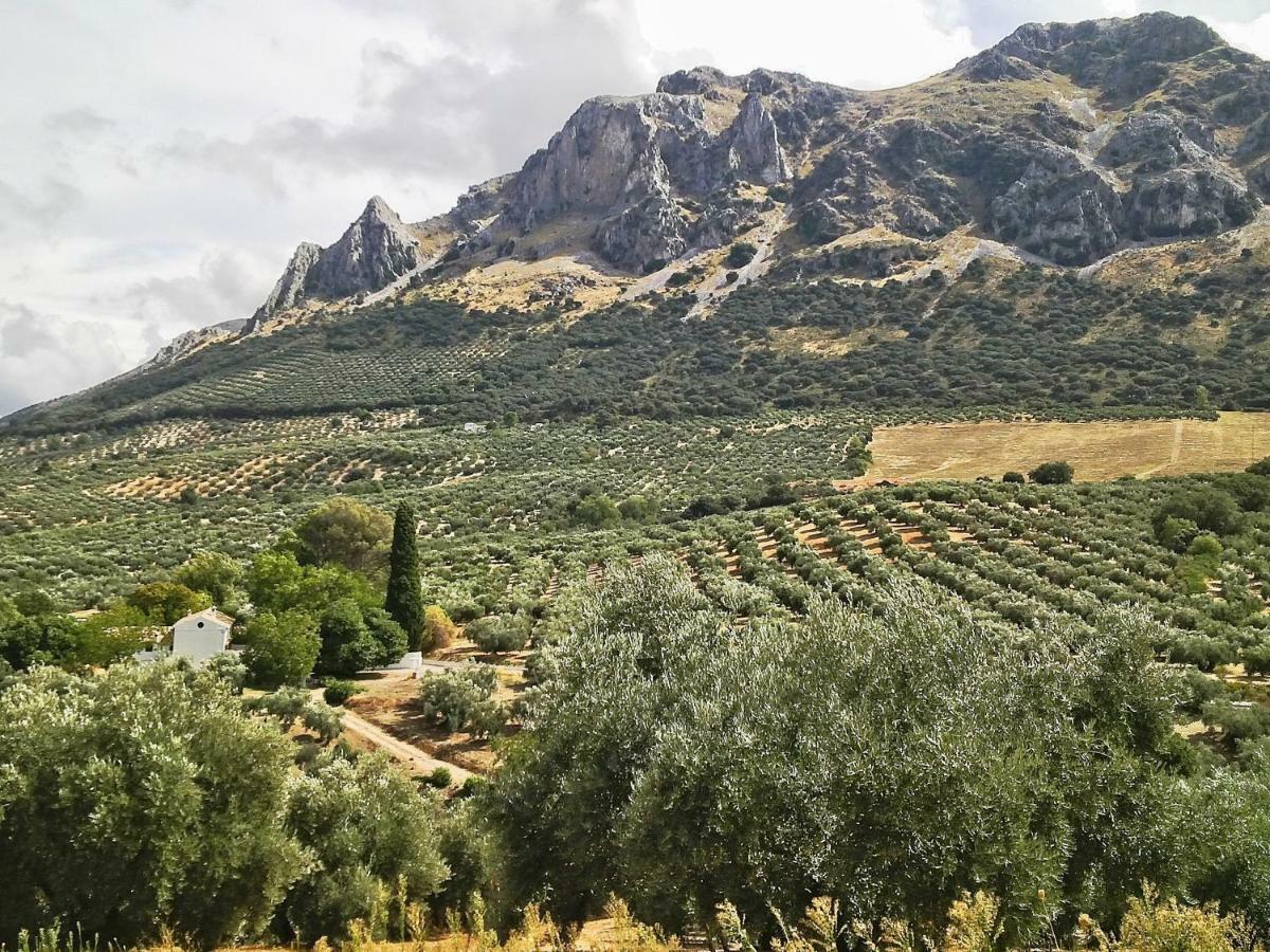 Cortijo Abril Βίλα Priego de Córdoba Εξωτερικό φωτογραφία