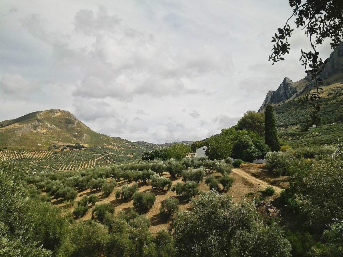 Cortijo Abril Βίλα Priego de Córdoba Εξωτερικό φωτογραφία